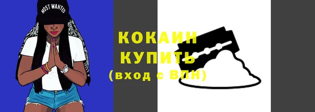 МДПВ Лиски
