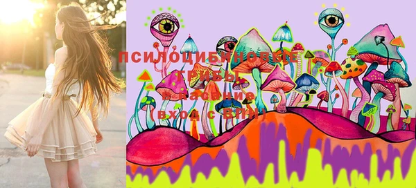 марки lsd Лихославль