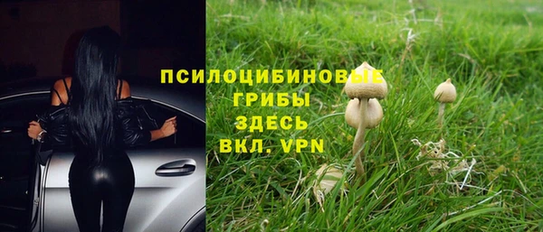 МДПВ Лиски