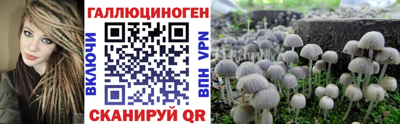 Купить Волгодонск Псилоцибиновые грибы прущие грибы