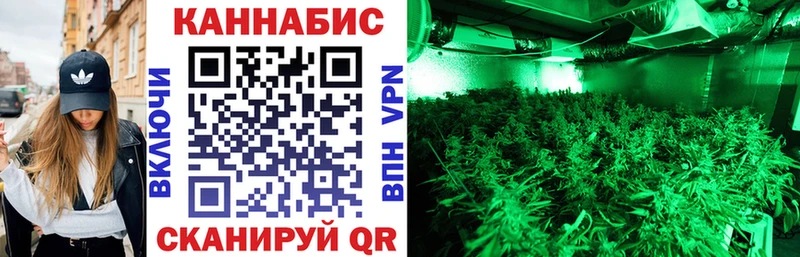 Купить где  Волгодонск  Шишки марихуана Ganja 